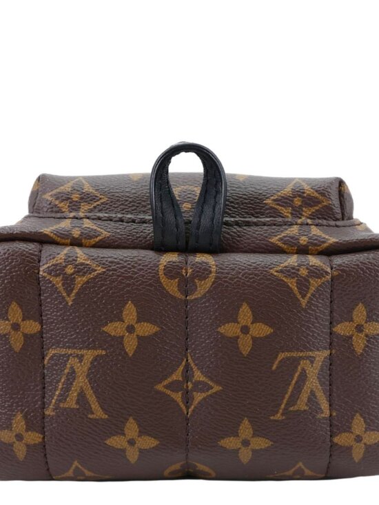 Louis Vuitton  Palm Spring Mini Monogram Canvas Backpack Brown main image 4